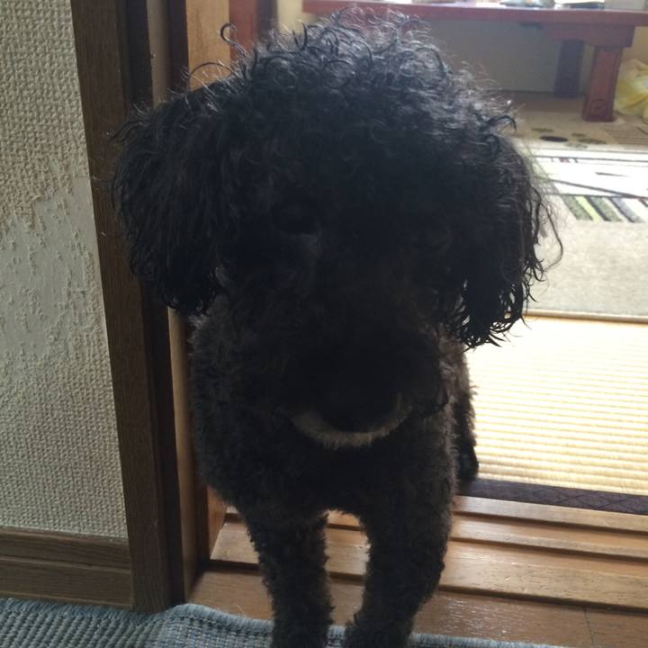 3d81cf20 028f 4b62 8537 ae28f0451553