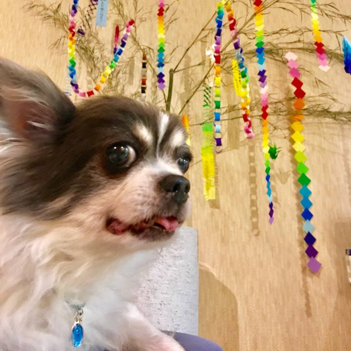 3d81f933 a5ec 4a04 b59d a03e82202f63