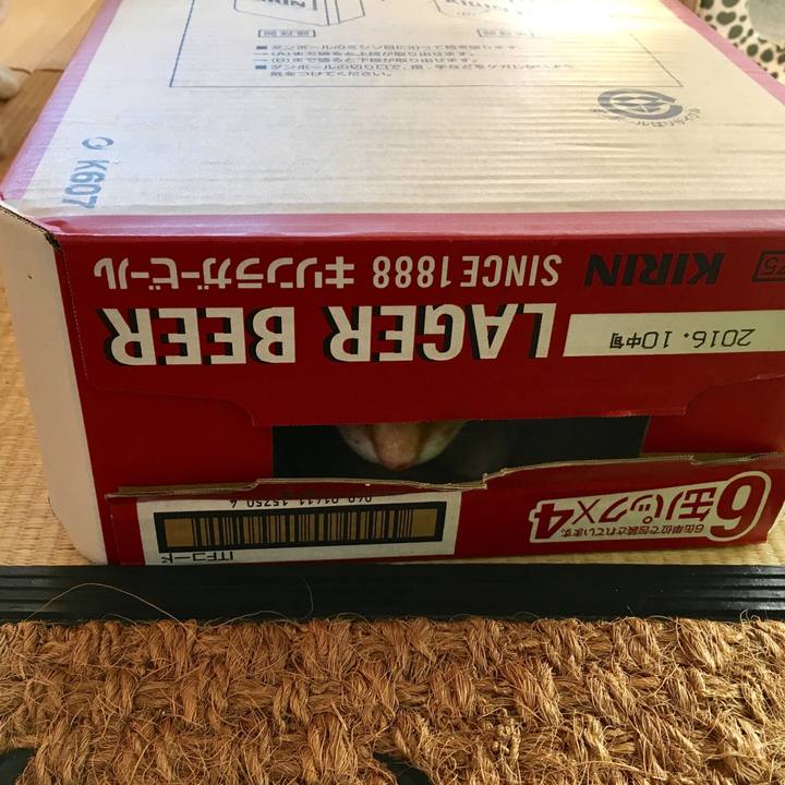 3d81ff97 5816 4f05 9999 c7b0ae1986e6