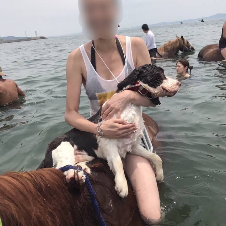 3d834584 2e36 4d30 b9c0 ae76eb775ac7