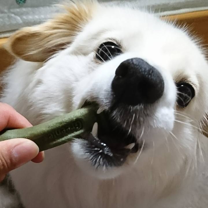 3d834d89 07a5 42cf ab05 3c16a3d94ebb