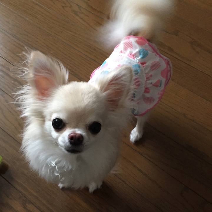 3d838c9b 6bec 4dcf 815d a4c0acfe53c3