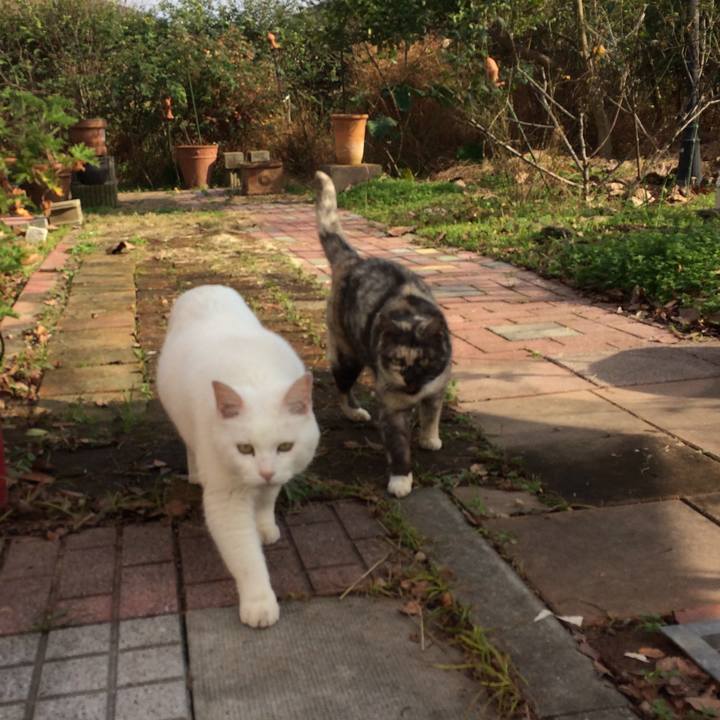 3d8441fb 59d5 4ca8 b50f be4bc892336f