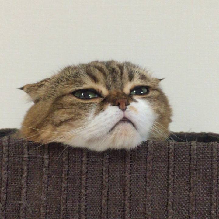 3d846a8b ddf9 488a 8f11 3c97899fda69