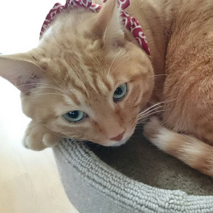 3d84e268 c728 47be a773 0ab0ea689979