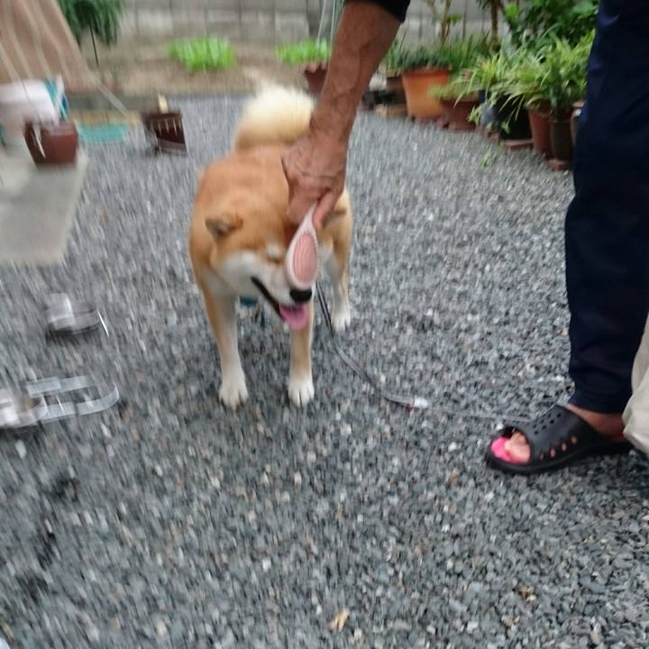 3d8504e5 f761 4890 91a9 a2a070720c19