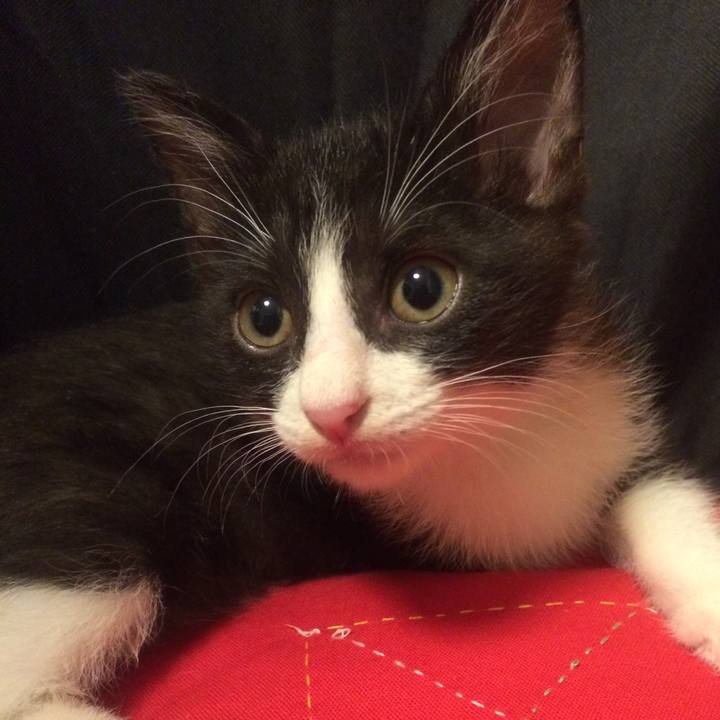 3d85b2d9 eaa6 4356 89c7 0000ffa04fa2