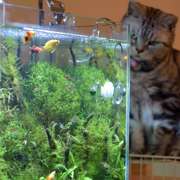 3d86021a 964f 46f2 82d6 608f4d0b823b