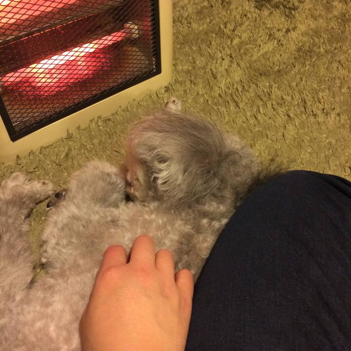 3d8611d6 c519 4324 8cca 2643cff9a365