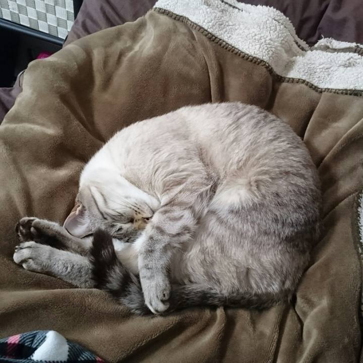 3d869181 9c13 441a bcad 26d6b4ad680b