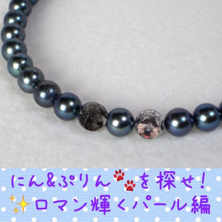 3d86e519 c7dd 4449 9873 5075c0a08003