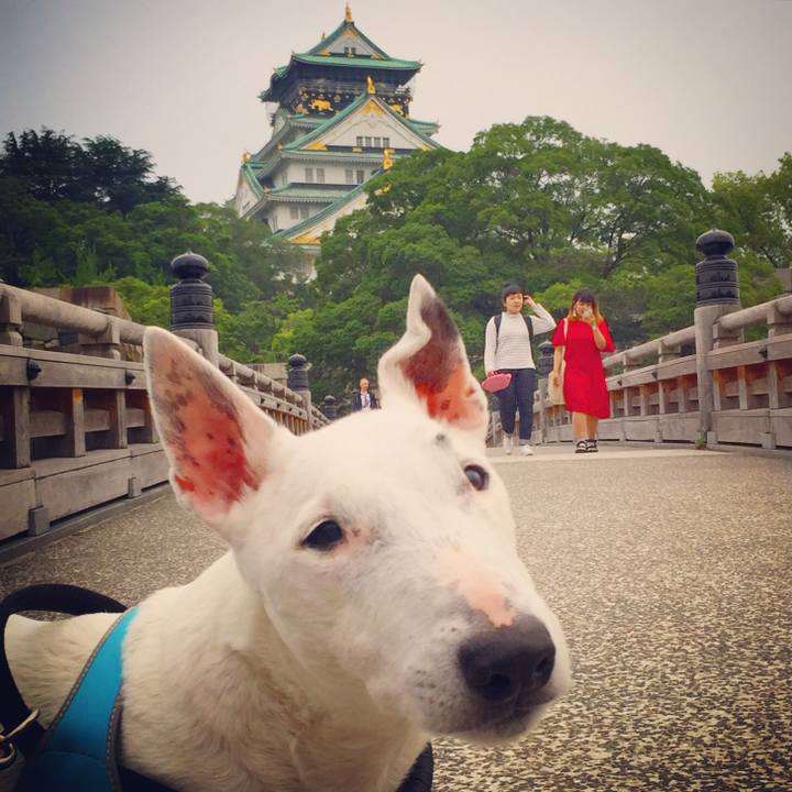 3d871e3c 8d0b 4257 85ab 77173598be20