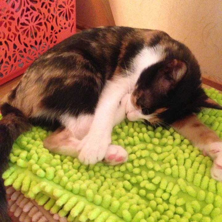 3d8773ae 06a3 48da 8ce4 fb428d8ff886