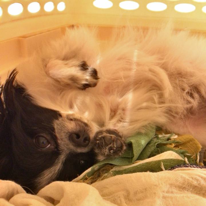 3d87d1af 535c 42db 8390 4c889fa4461c