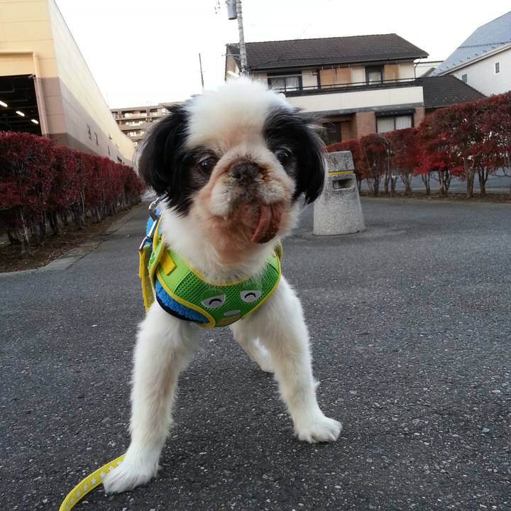 3d89d20c d960 4e88 bae1 f3670cebc4eb