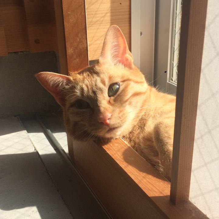 3d89e6c2 47c8 485c 9243 9ef46b81fc16