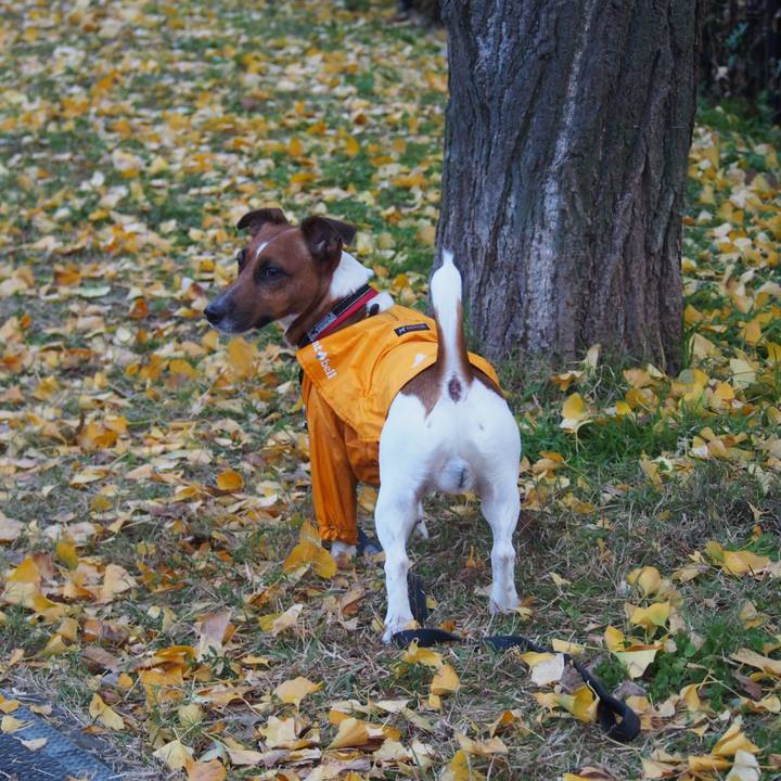 3d8a6e18 375a 42e9 9844 6d9b7d635699