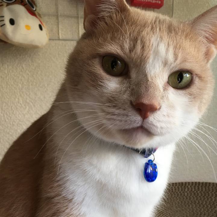 3d8aaebd ac5e 4c92 bcbd 18e808f39bcb