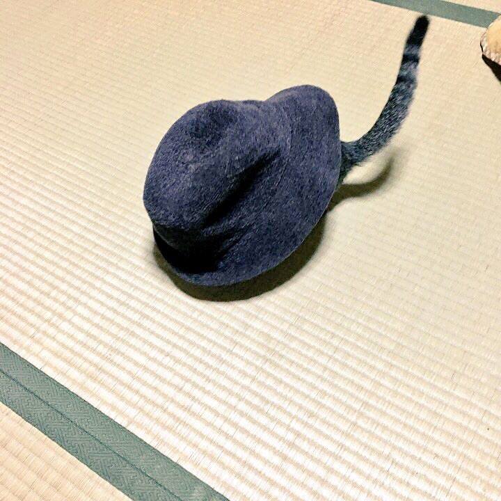 3d8ab20c 0da6 4da4 9bea d969988c7905