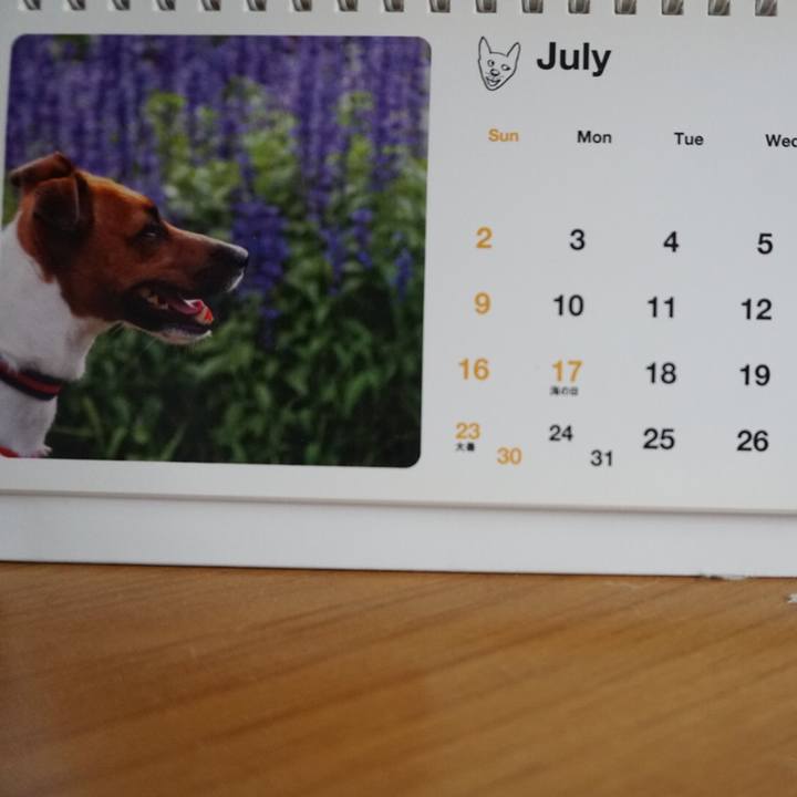 3d8b1cee 0e48 45d3 98b8 e473b8c0bc65