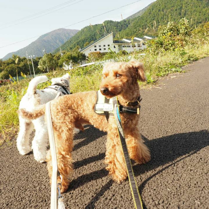 3d8befa0 a733 4035 8317 b0db1969d6ba