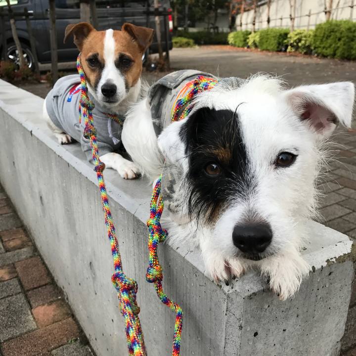 3d8ca3b0 70ac 40f2 928f d46c64756c09