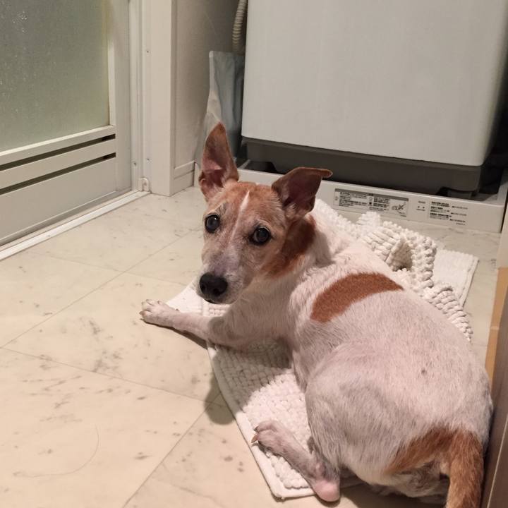 3d8cd032 f394 4b16 a765 634cfb5e930a