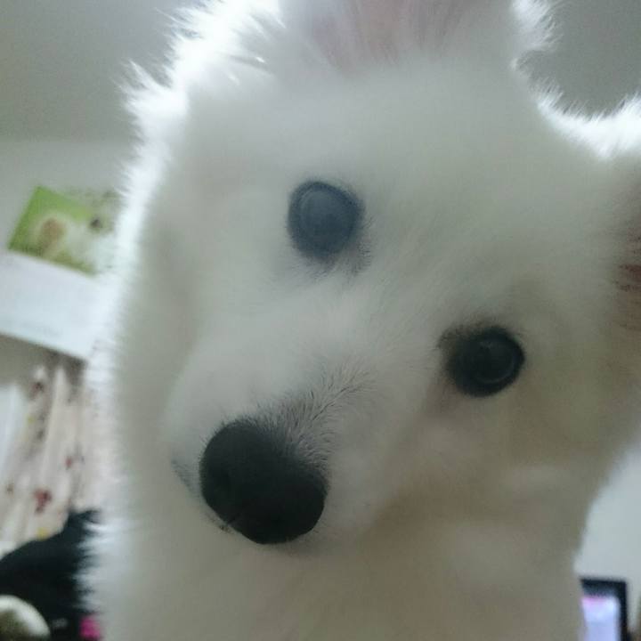 3d8ce01a 5ead 4b8d 82d2 fd69092bb459