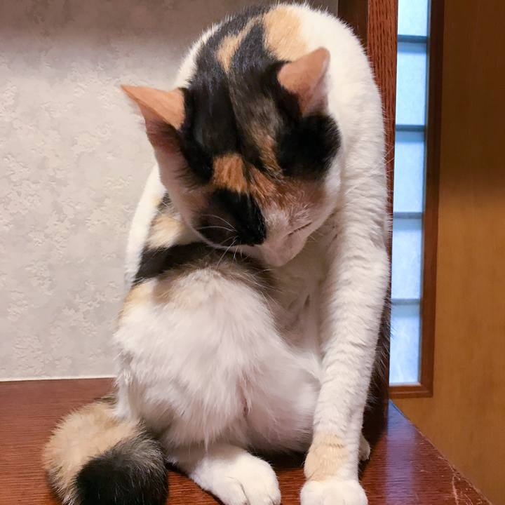 3d8d82a7 f7b1 4466 b52e 7e3a03ca58c4