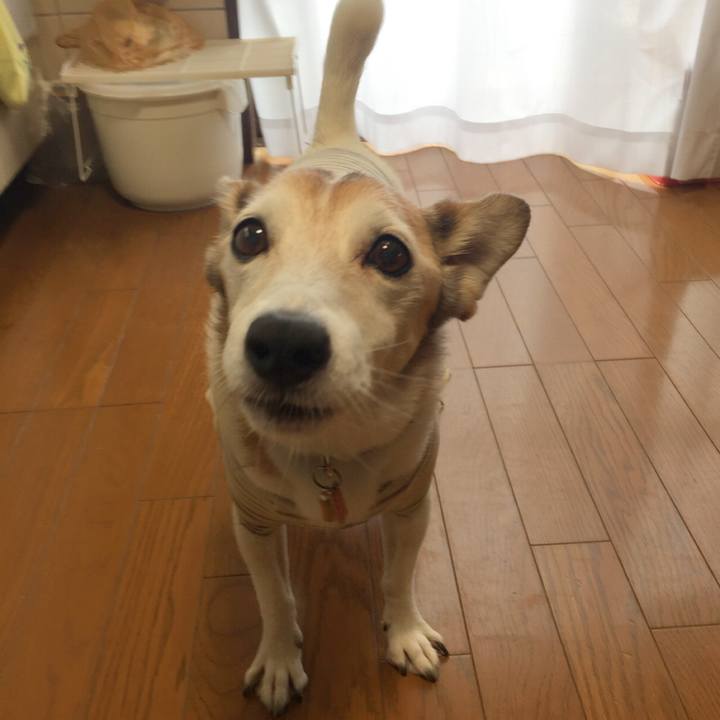 3d8dd0f1 067e 4605 9167 14ac8c6af85f