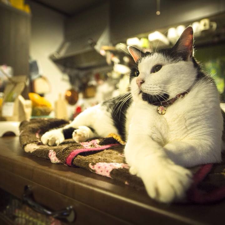 3d8e4165 7fb4 4a93 a5ee 30255d409dcf