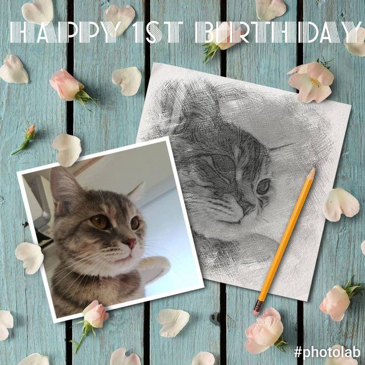 3d8e5d81 69b0 49f8 a0e6 33da0e795aaa