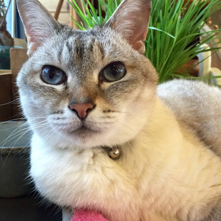 3d8f09e0 84d0 4aed aa54 4604fe0dc22c