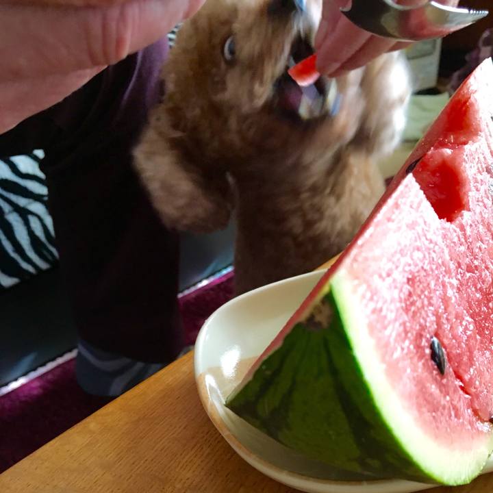 3d8f8329 3423 4448 a5d6 be14740c6728