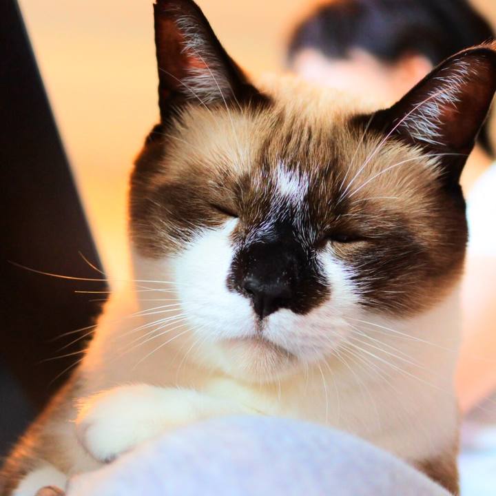 3d8fcfe7 2747 40d6 b531 8cd44071437d