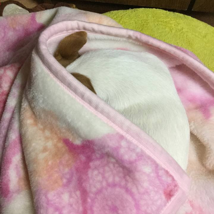 3d8fe11f 3cf9 4f20 bd64 33e40f6e5a84