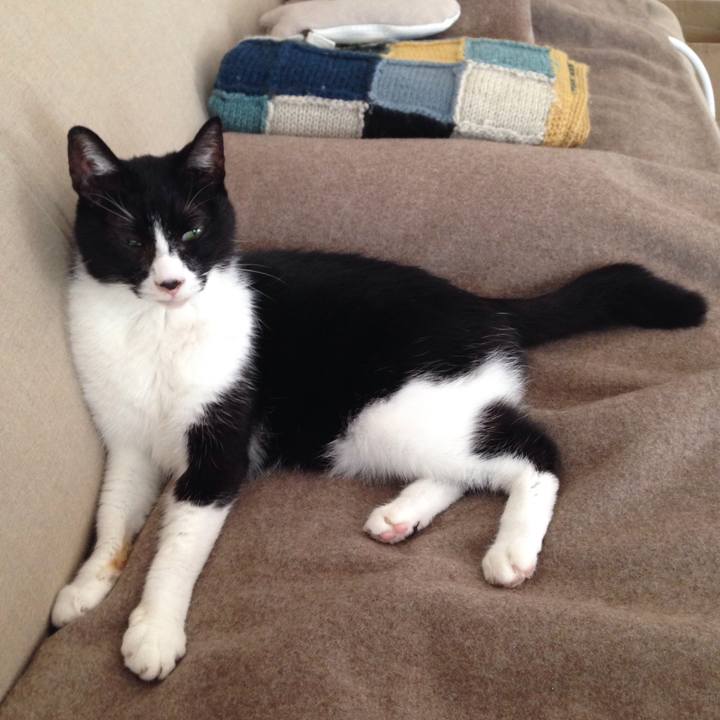 3d901fdd 030e 4d60 8597 09fc7fe1db1c