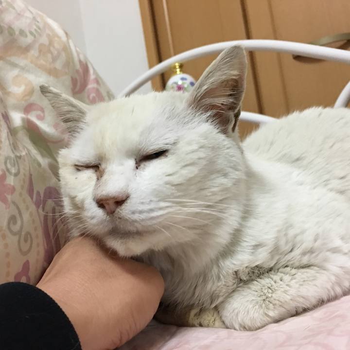 3d9045ae 1d3e 45be 9a42 0e593d3e271e