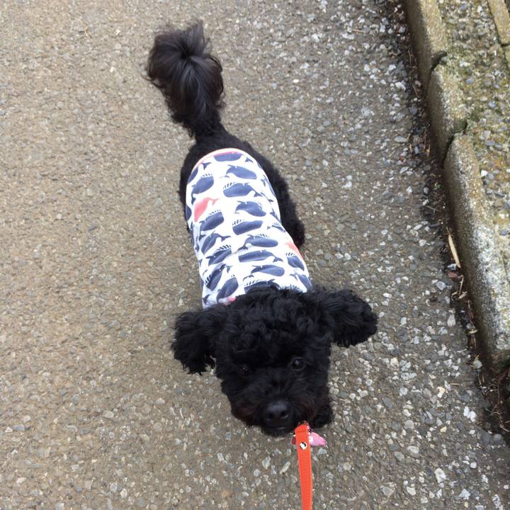 3d9135f3 8beb 49b8 83df f4a51e31883c