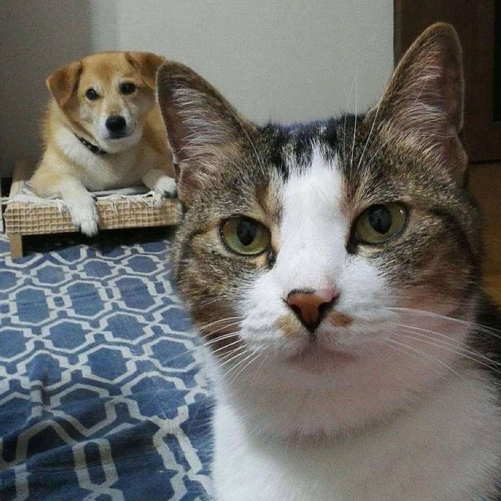 3d9138ab 8b42 4211 a07a 0510cd12f4ee