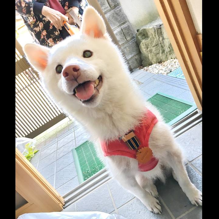 3d917ccc 1271 4e96 b96e 5b3e37af9a69