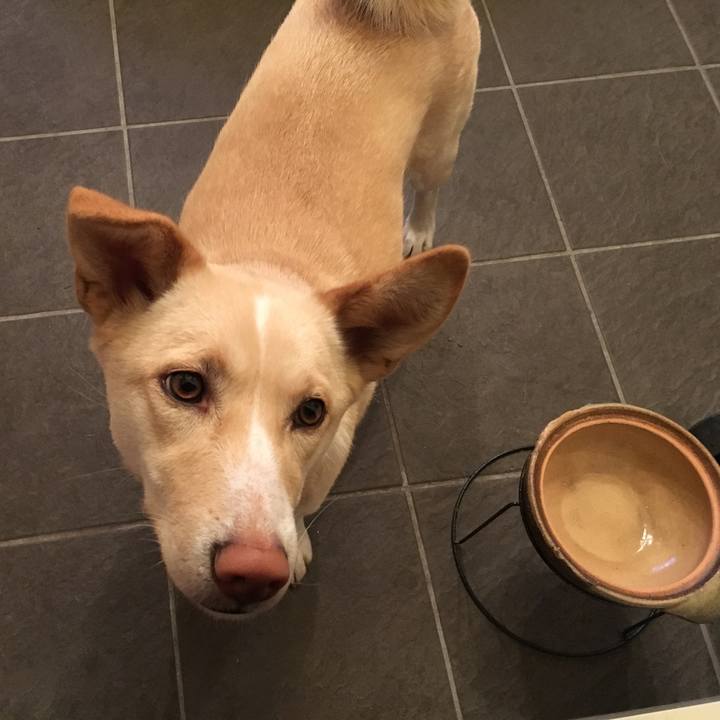 3d922a4f 7666 438b 8d84 178ab3b3d976