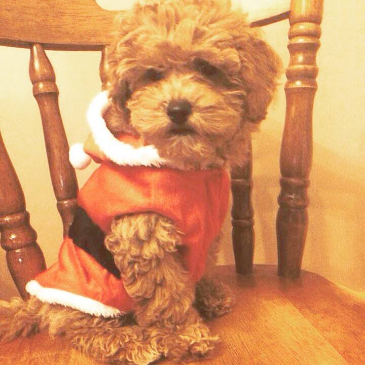 3d927759 3e50 405e a7d8 cdb23d7219eb