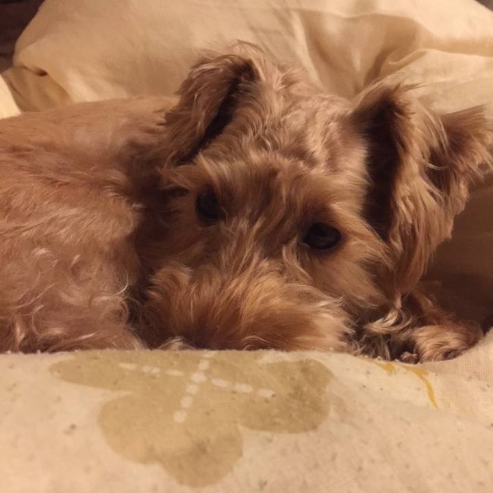 3d9452eb 5be1 4ef5 8f3d ec57e909bfed