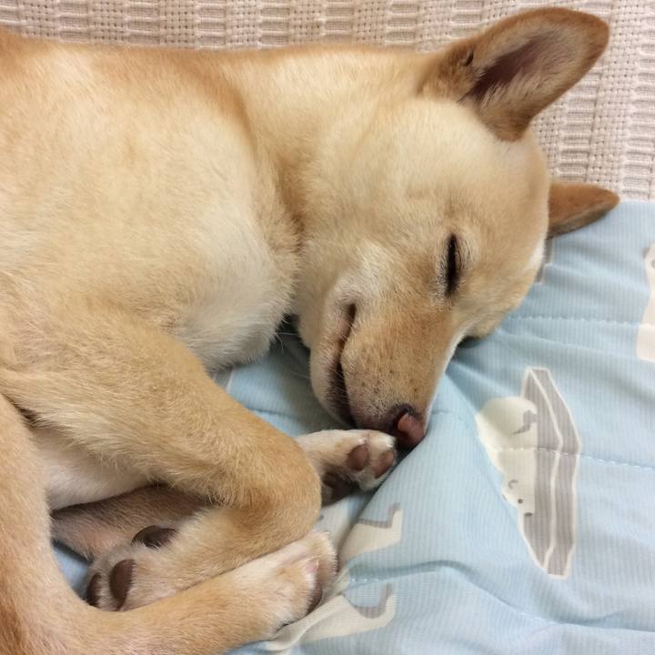 3d9491ef e31a 4dec aba9 f00fe29d16ff