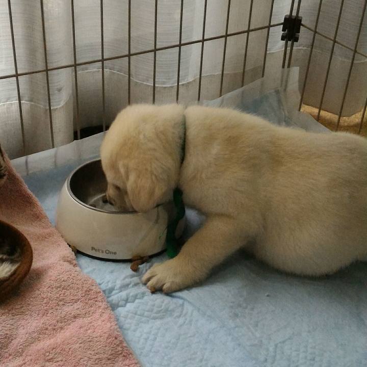 3d94ef29 2259 4ea1 913c 89b6c491ef0d