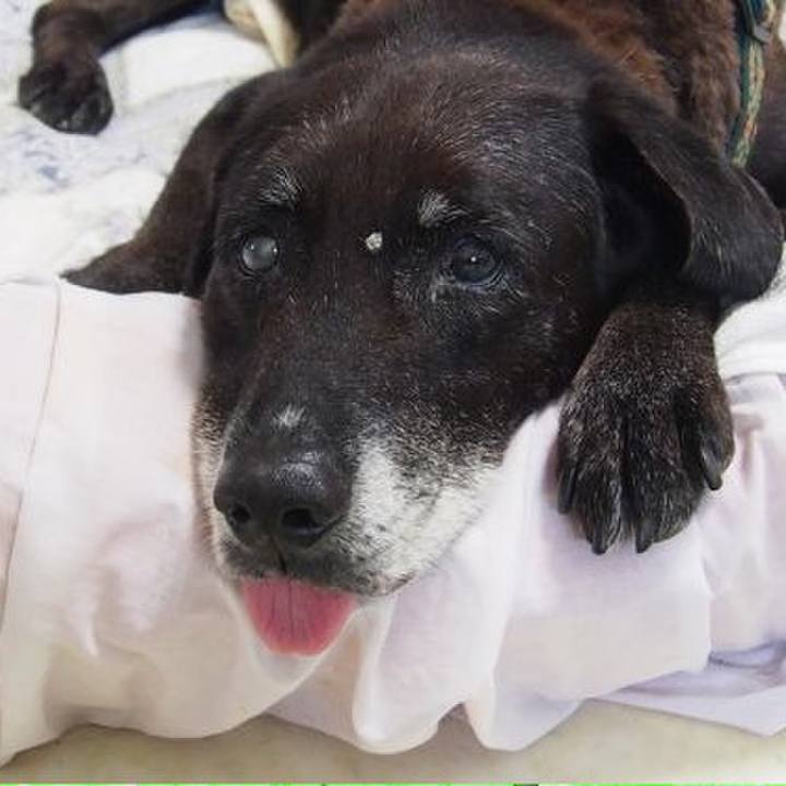 3d94fd11 0000 4227 98b6 13fbd88be456