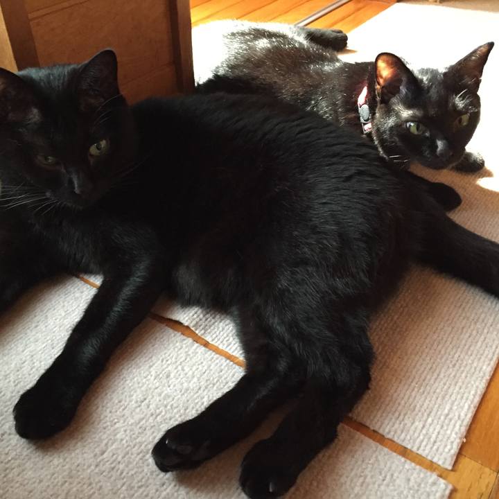 3d9501dc 4d93 4086 ad75 44af412f9bf3