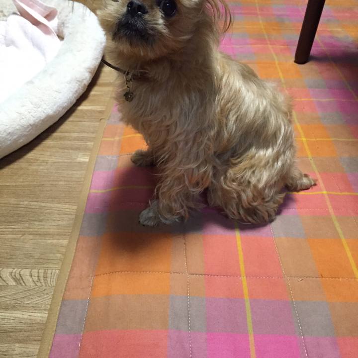 3d95238b 7eb5 4e72 ae48 c63f1985b702