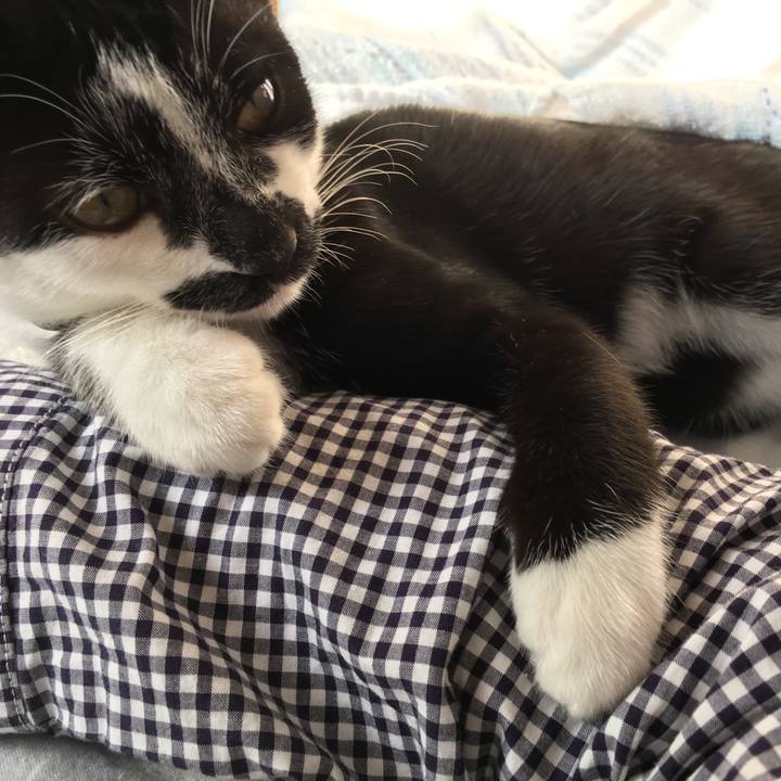 3d9559da a5a2 464f b3c7 8efd78d44b18